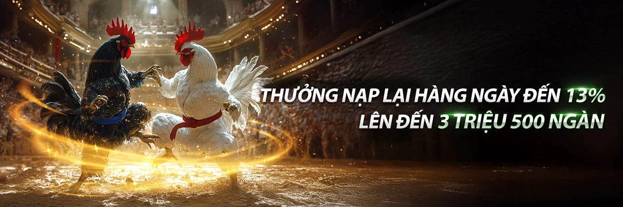 Hình ảnh đấu gà kịch tính tại cwin32 nhà cái